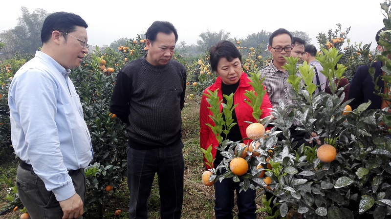 ������ũҵίԱ���쵼��������������ľ�ִ忪չˮ��������鹤��